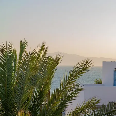 Apart Otel Castle Mansions Naxos City
