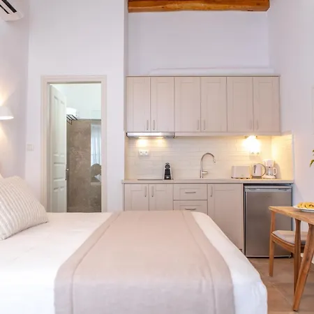 Castle Mansions Apart Otel Naxos City